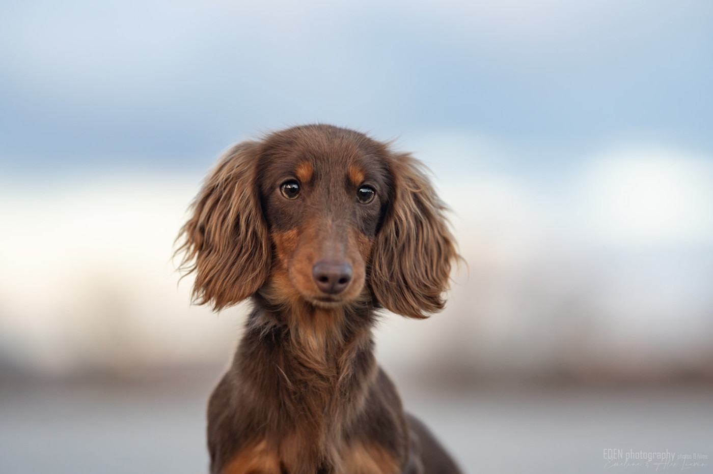 Ariel la petite sirène du Domaine de Milk