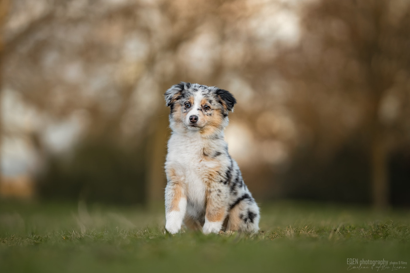 Adorable petite sorcière du Domaine de Milk